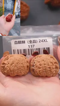 【闪购商品】文玩核桃把件41.5 血麒麟狮子头（全品）