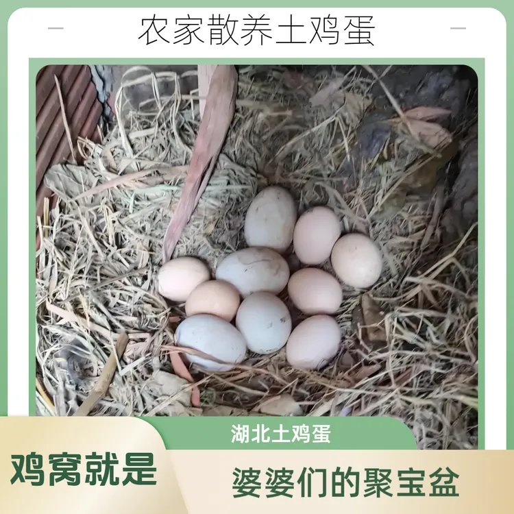 正宗农家散养土鸡蛋安全环保适合孕妇儿童康复营养新鲜顺丰包邮
