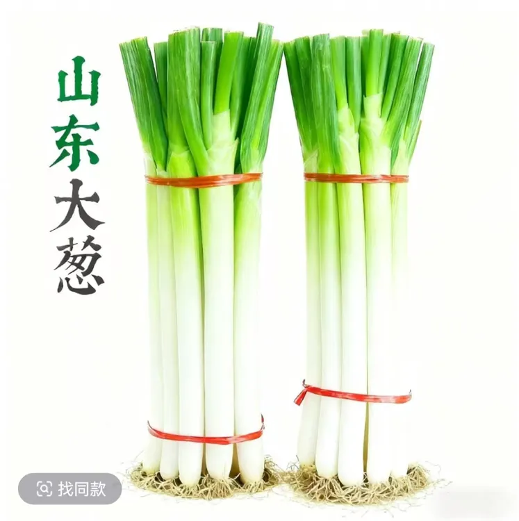 【包邮】山东铁杆大葱新鲜现挖现发甜辣可生吃蘸酱调味新鲜大葱