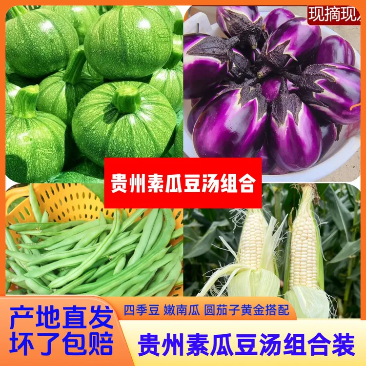 贵州素瓜豆汤组合装高原嫩南瓜小圆瓜四季豆棒豆圆茄子素瓜豆汤