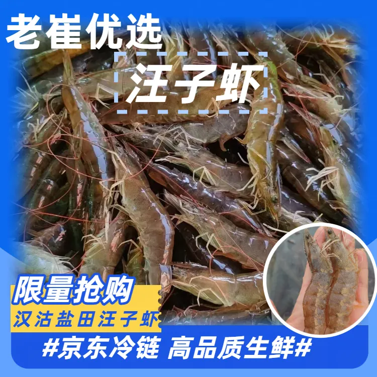 【尝鲜】天津汉沽正宗汪子虾 京东包邮  新鲜捕捞冻一天  每日50单