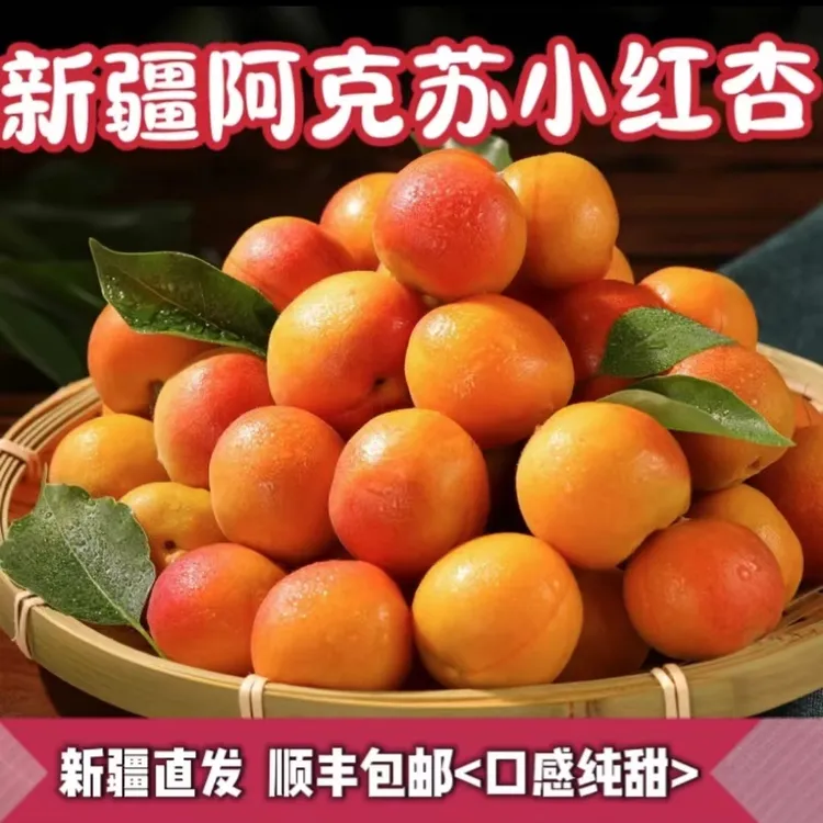 【新疆红杏】新疆正宗阿克苏小红杏软糯香甜杏味足应季产地直发包邮