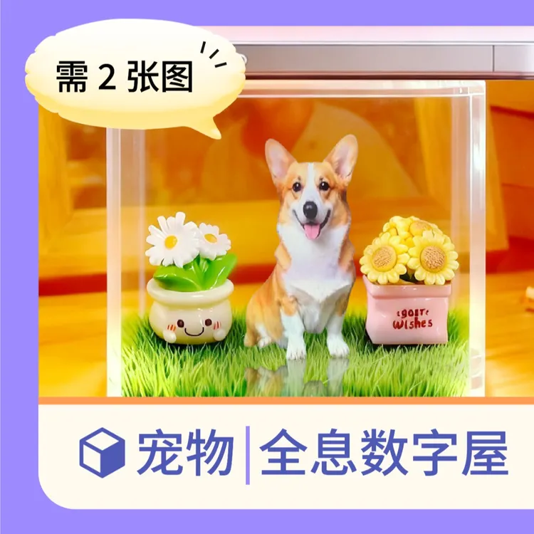 宠物全息数字屋 宠物纪念摆件 高透光材质全息影像 爱宠DIY