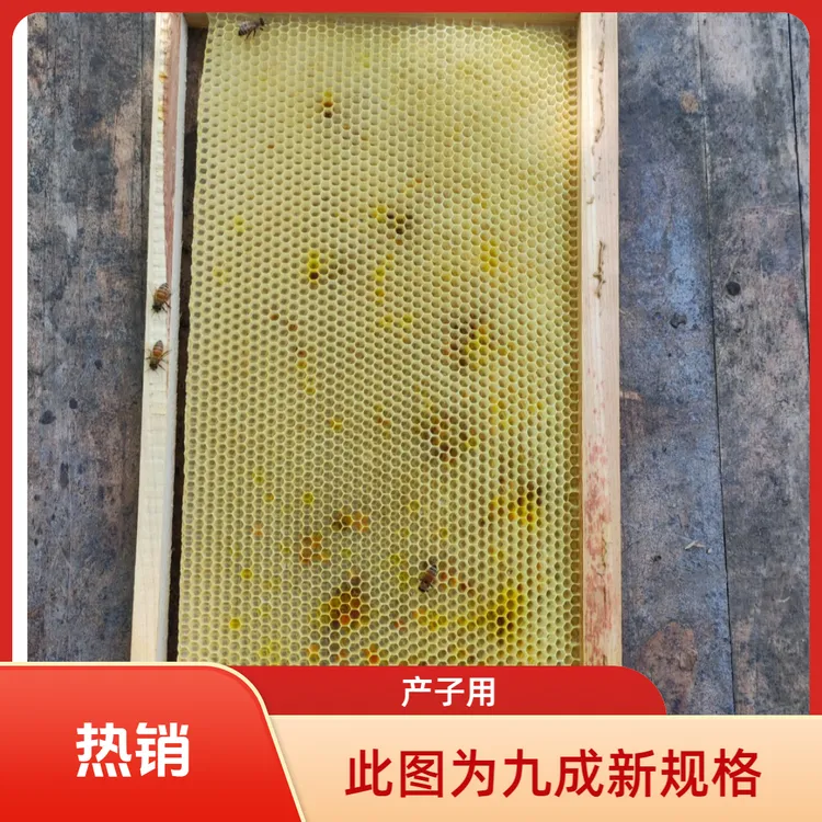 中蜂造好巢脾49公分长度九成新五成新三成新产子打蜜诱蜂