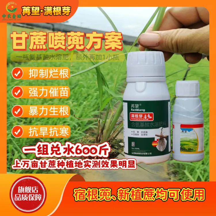 【苒望满根芽】甘蔗喷蔸方案爆根爆芽壮苗生根含小分子氨基酸水溶肥