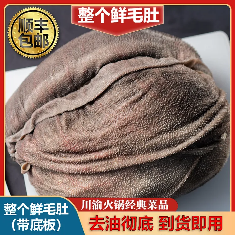 新鲜屠场毛肚（整肚带底板）去油去边角高品质 固形物含量95%