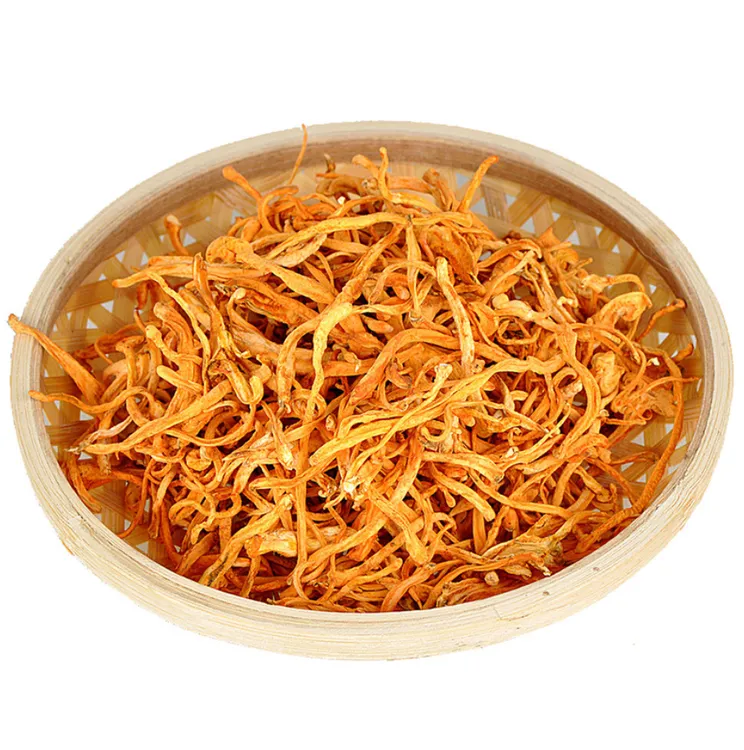 农家特产精选虫草花