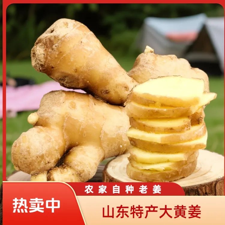 无硫熏山东特产老姜生姜风干大姜老黄姜月子姜辛辣提味