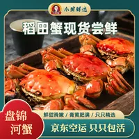 【活蟹】「盘锦稻田蟹 0.8-1 两」母蟹净重两斤京东/顺丰鲜活到家