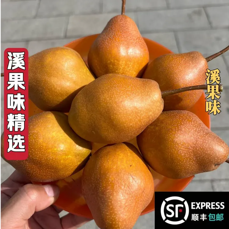 东北尖把梨酸甜薄皮辽宁特产尖把酸正宗秋子梨顺丰包邮