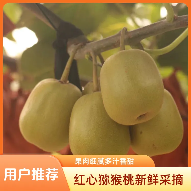50-70克苍溪红心猕猴桃