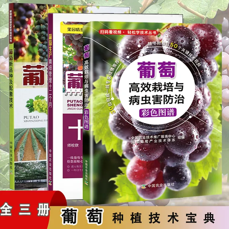 葡萄高效栽培与病虫害防治彩色图谱新品种及配套技术管理十二个月