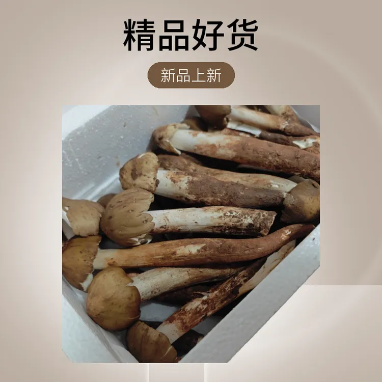 精品好货半开鸡枞（半开）（顺丰冷链）