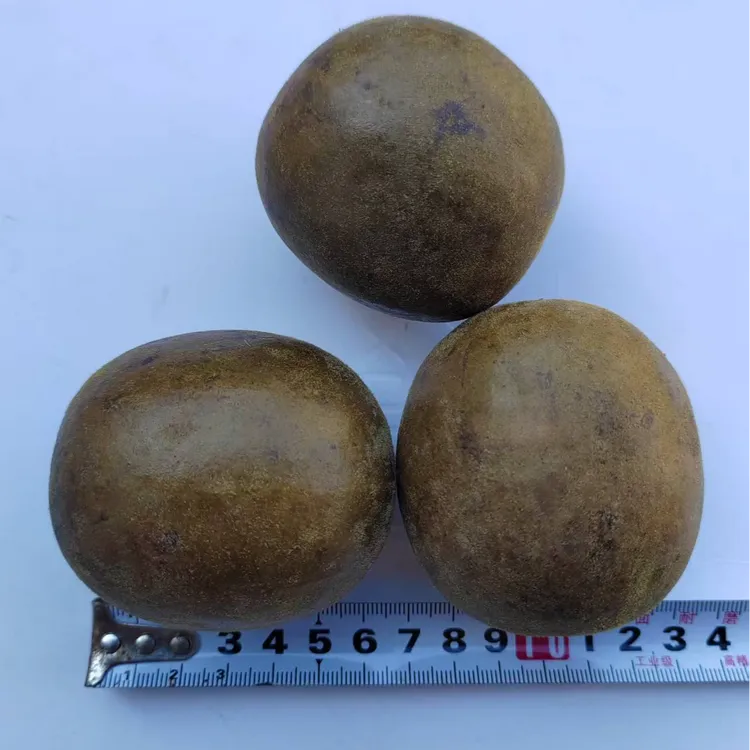 广西融安正宗罗汉果可搭配胖大海泡茶清甜润喉