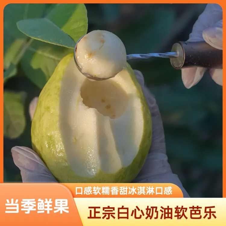 奶油白心奶软芭乐口软糯香甜白心白肉芭乐奶番石榴白心冰淇淋口感