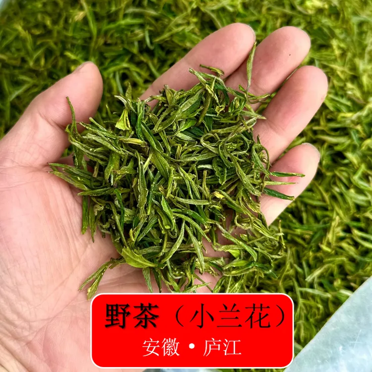 高山荒野茶小兰花 2025年庐江野茶兰花香浓香耐泡绿茶