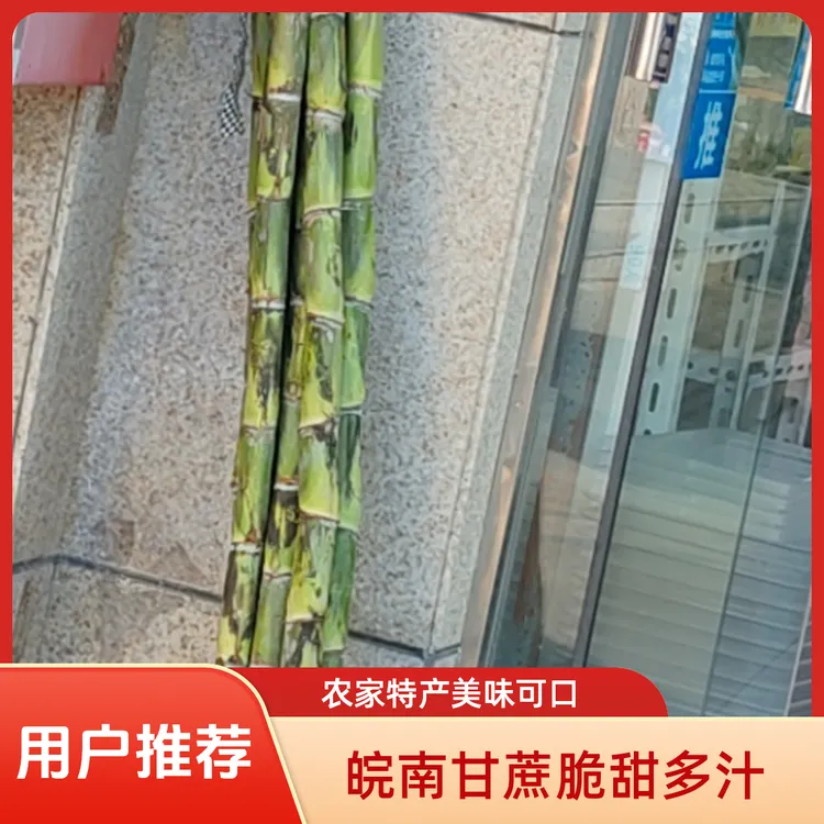 皖南青皮细细甘甜农家特产5整发脆皮甘蔗