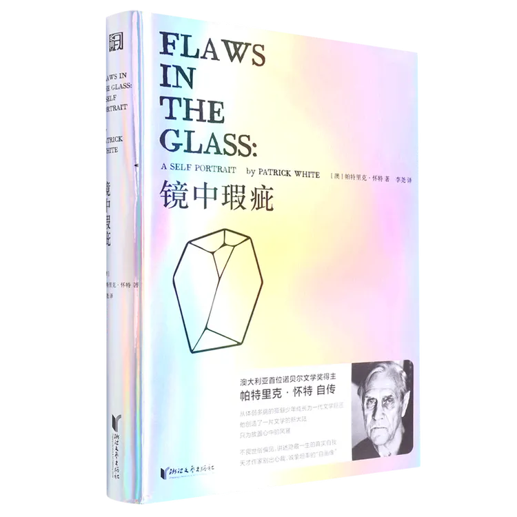 镜中瑕疵 新华书店正版