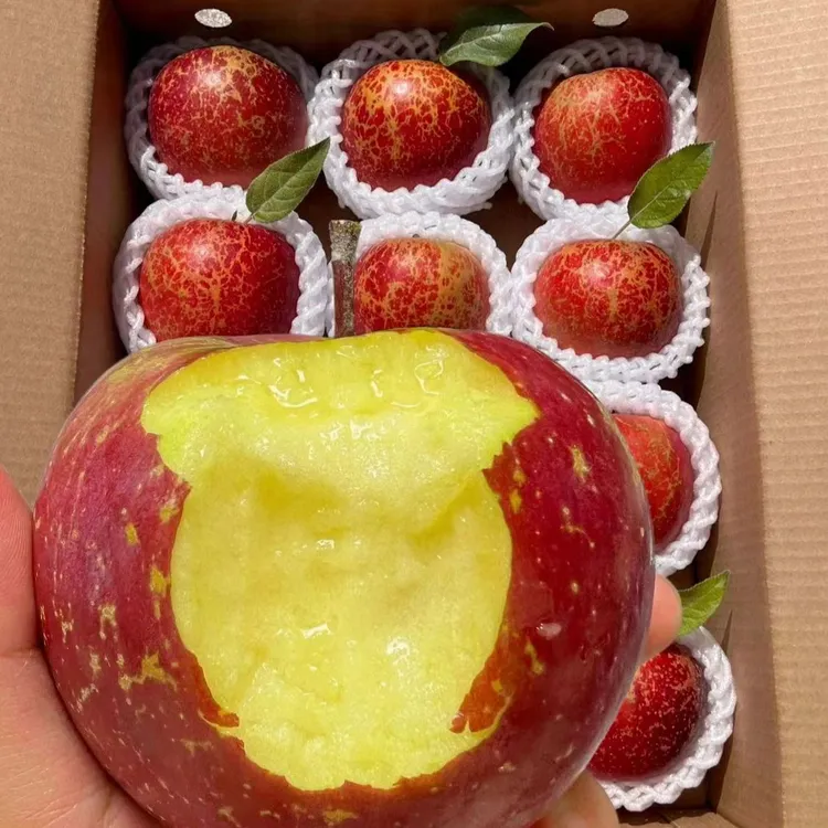 【正宗】云南昭通红富士冰糖心丑苹果脆甜爆汁当季新鲜现摘现发水果