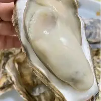 【买5斤送5斤】产地直发金标金标黄金规格生蚝冷链到家