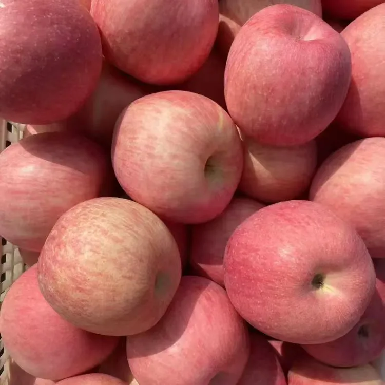 陕西洛川条纹红富士苹果脆甜多汁应季水果