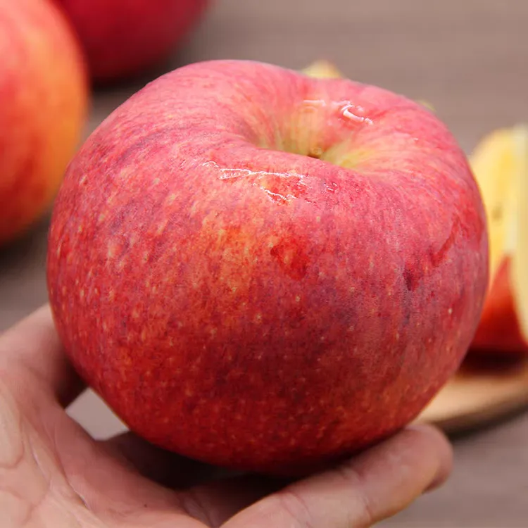 瑞福来甘肃庆阳苹果正宗香妃爱妃苹果顺丰送到家