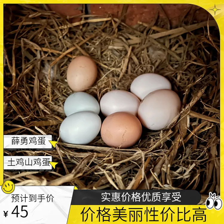 农家散养大山正宗刨山鸡土鸡蛋，有营养味道好