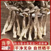 鹿茸菇无干燥剂干货鹿茸菇优质干货鲜香脆嫩2包