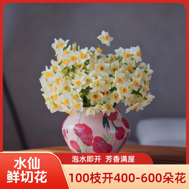【新鲜现摘水仙花枝】漳州水仙花切花重瓣花束桌面单瓣插花浓香花卉