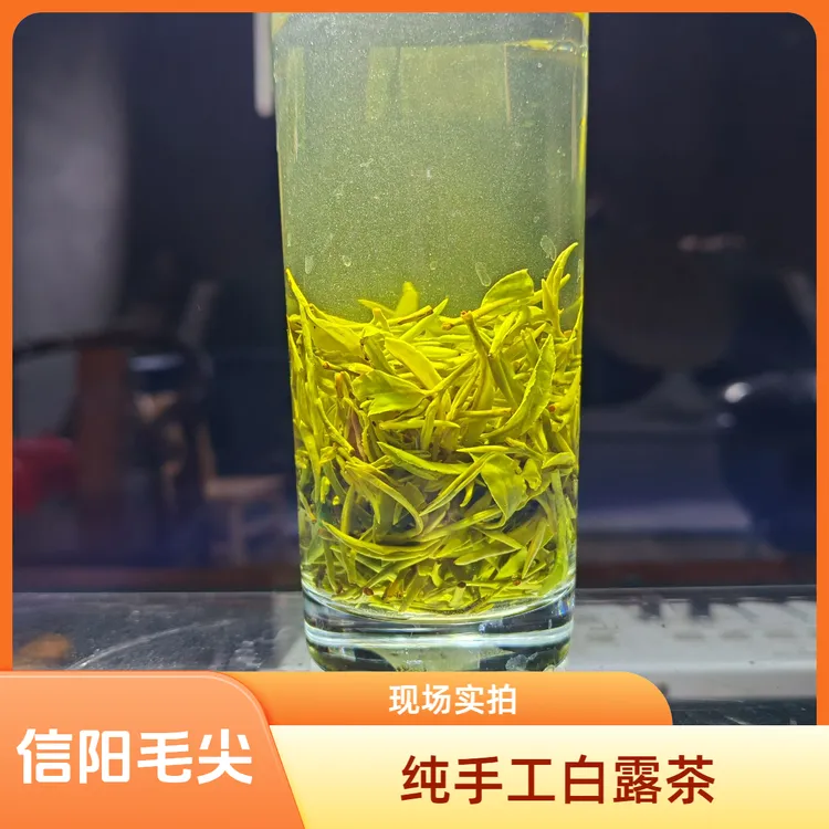 2025新茶纯手工白露茶绿茶信阳毛尖秋茶毛尖