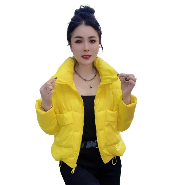 莉丽佳2500款女装冬季长袖立领大兜鸭绒短羽绒服时尚洋气休闲百搭