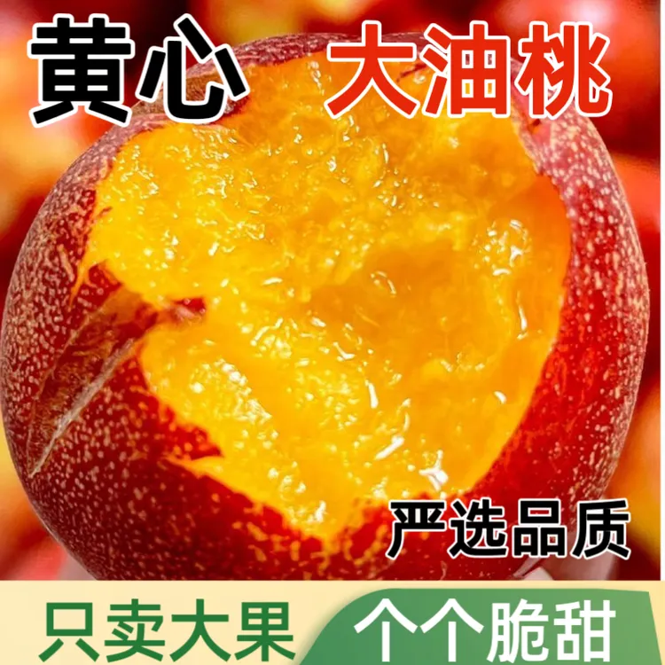 【2025头茬】正宗现摘黄心油桃夏季甜大桃子新鲜水果黄肉孕妇桃整箱