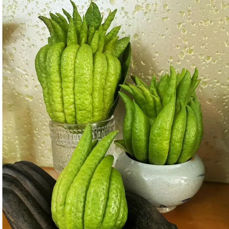 【花千氧】【佛手柑】造型随机天然清香摆件装饰客厅厨房办公桌淡雅