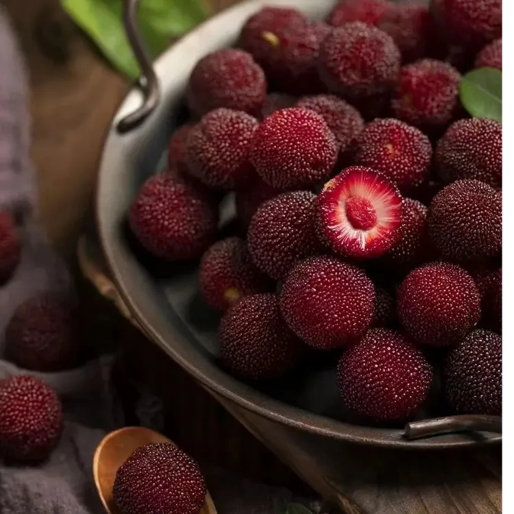 仙居东魁杨梅高山东魁杨梅新鲜采摘真空顺丰冷链空运现采现摘现发