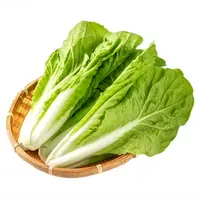 【小白菜】精包-小白菜1份（400-500g ）白菜
