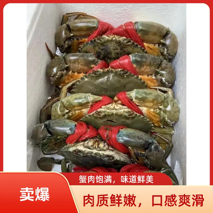 【买就送】青蟹 特大全母膏蟹 顺丰快递包邮