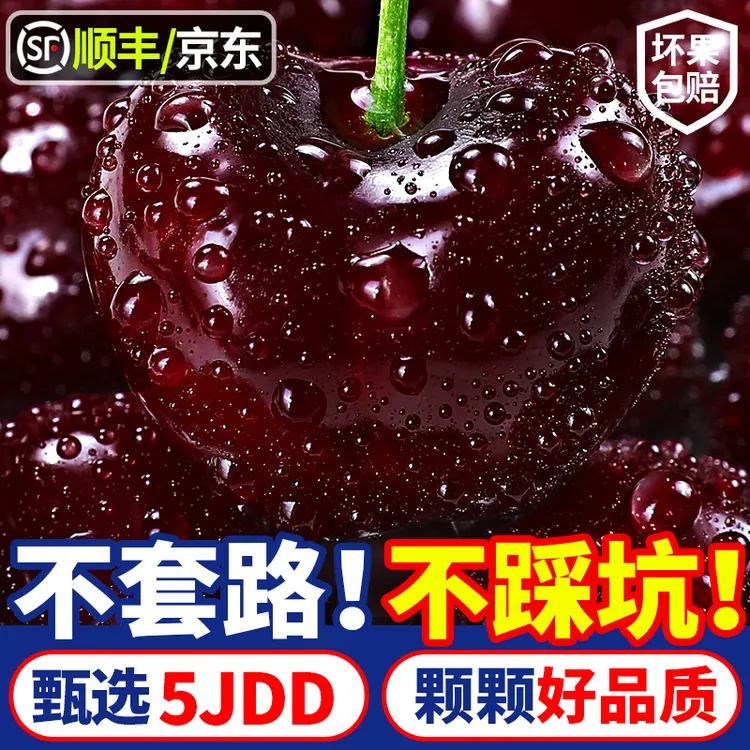 【5JDD果中贵族】智利进口车厘子空运桑提娜礼盒新鲜水果内附果径卡