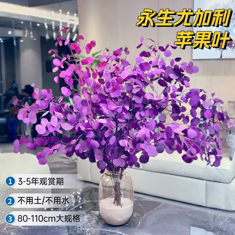 严选尤加利苹果叶【桌面款】可做干花永生花家居氛围感