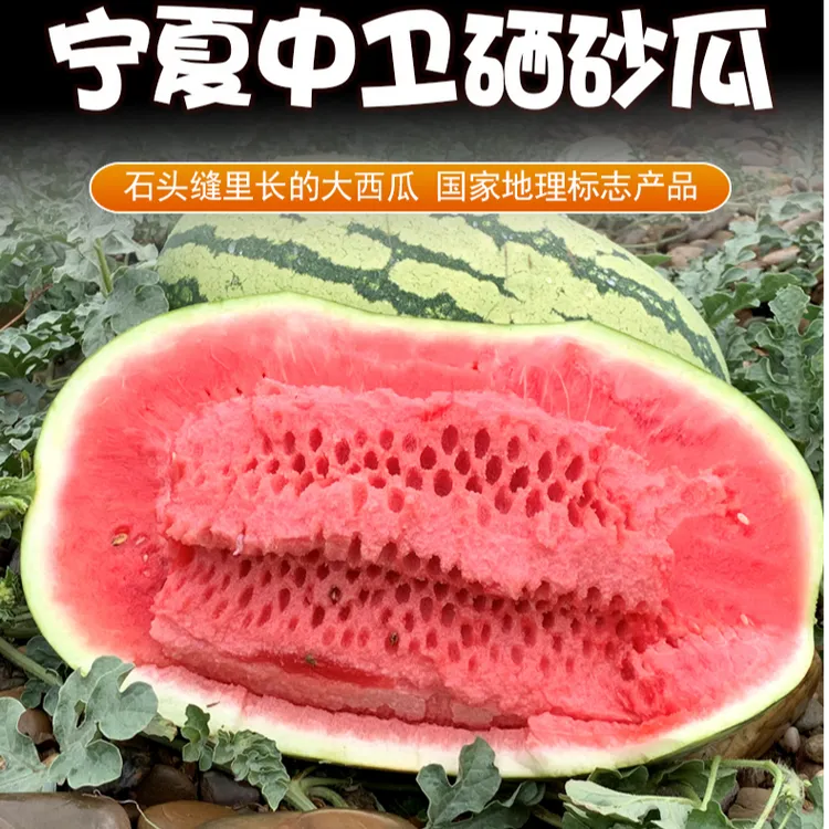 宁夏硒砂瓜石头大西瓜水果甘甜多汁新鲜甜度高自然成熟优质好吃