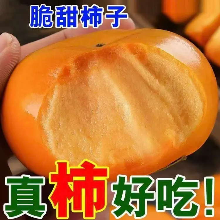 正宗山西落花甜阳丰甜脆柿子果王（只有果王！只卖果王！只做高品质）