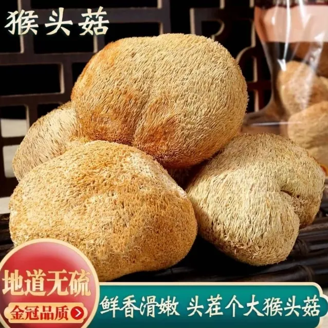 东北猴头菇