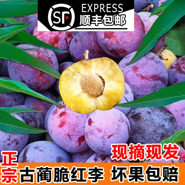 正宗脱骨李子空心李脆红李高山农家土李子孕妇酸甜新鲜川云贵水果