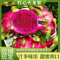 x 西双版纳金都一号红心火龙果皮薄肉厚果大饱满香甜爽口包邮