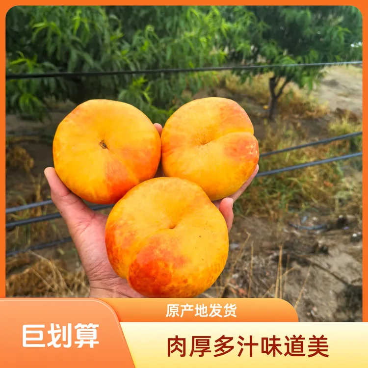 【彩虹油蟠桃】原产地蟠桃香甜爆汁新鲜水果应季肉厚多汁包邮