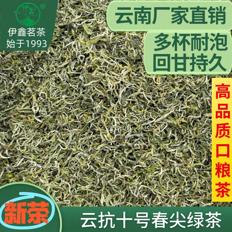伊鑫2025新茶 十号春尖 云南绿茶 浓香耐泡 甘肃罐罐茶兰州三泡台
