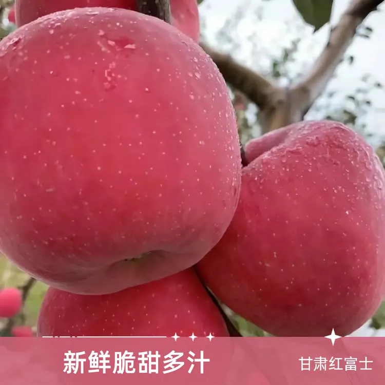 新鲜苹果糖心苹果水果冰糖心苹果新鲜水果红富士苹果冰糖心脆甜