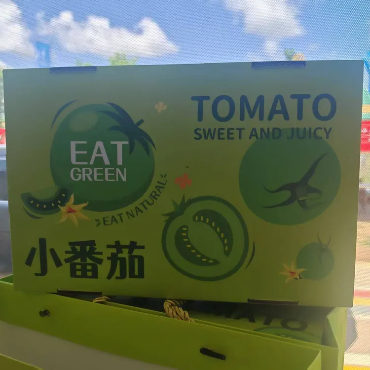 大棚无土栽培樱桃番茄自然成熟