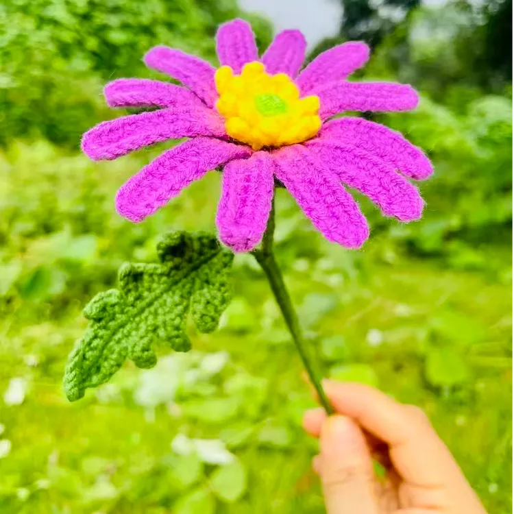 小雏菊毛线手工钩织教程