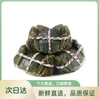 【活蟹】蟹小将江苏河蟹公蟹1.5两母蟹1.5两对半共10只可选全母鲜活精品蟹青蟹海鲜青壳蟹