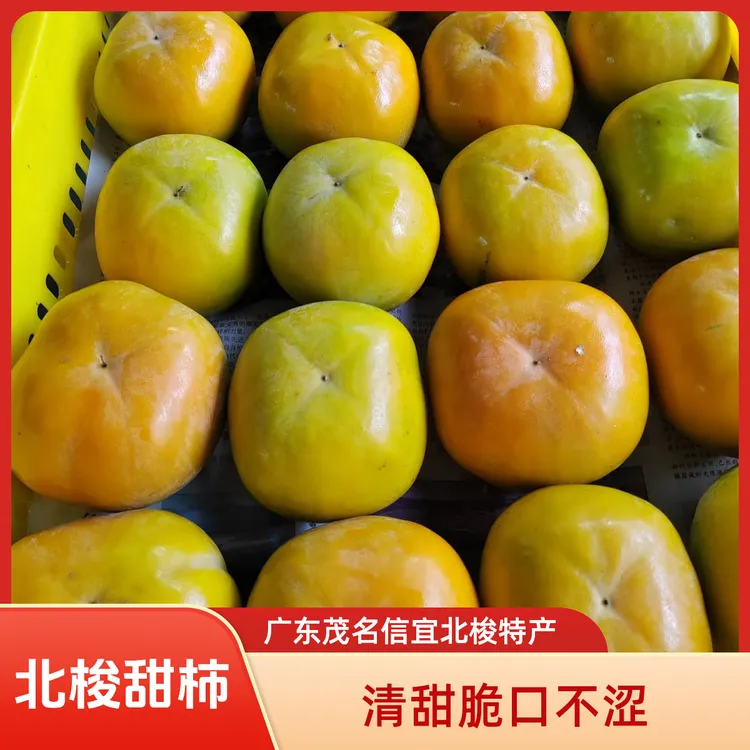 广东茂名信宜北梭甜柿清甜脆柿子